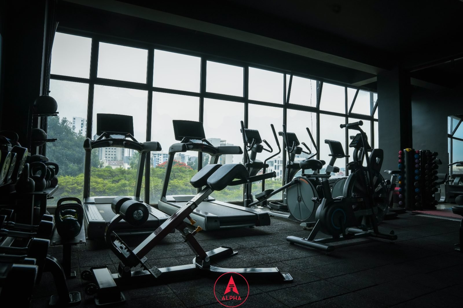 Alpha cardio floor