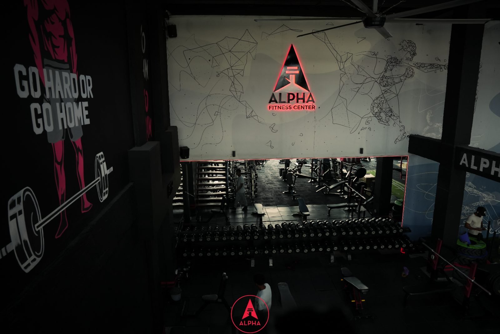 Alpha training floor